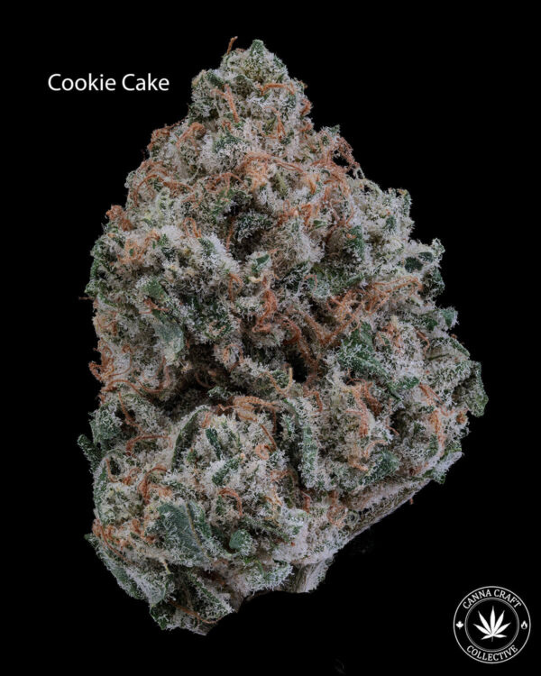 AAA+ - COOKIE CAKE
