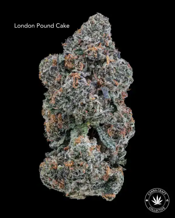 AAA+ - LONDON POUND CAKE