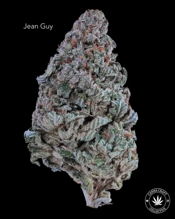 AAA++ - JEAN GUY