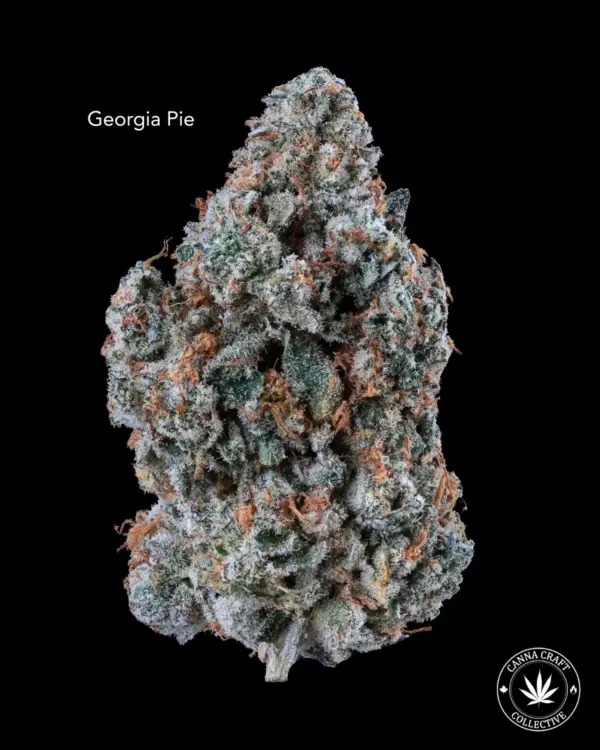 AAAA *ON SPECIAL* GEORGIA PIE
