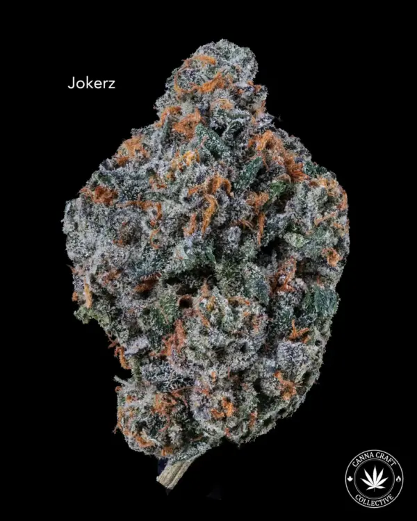 AAAA *ON SPECIAL* JOKERZ