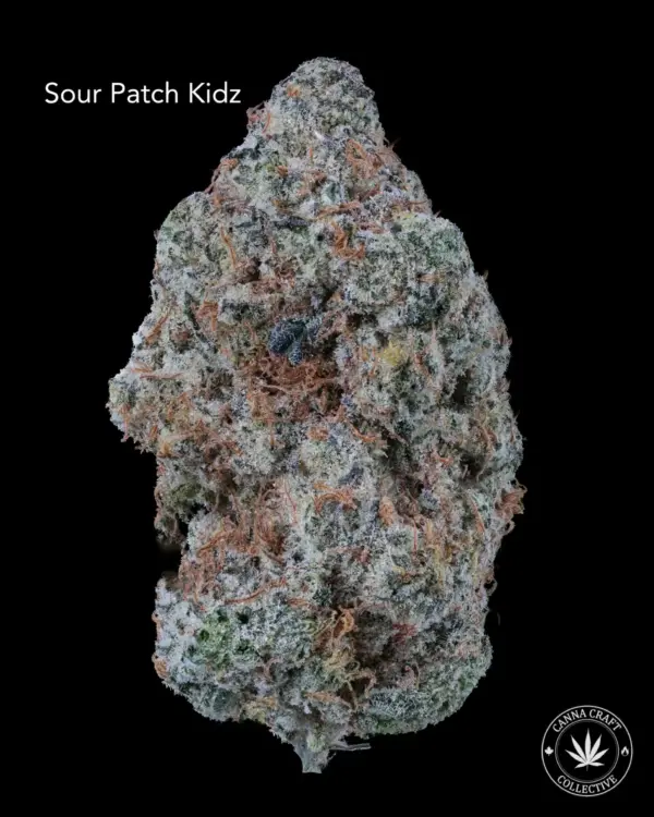 AAAA *ON SPECIAL* SOUR PATCH KIDZ