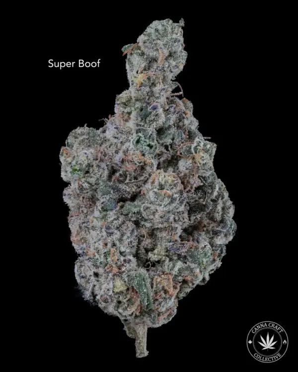 AAAA *ON SPECIAL* SUPER BOOF