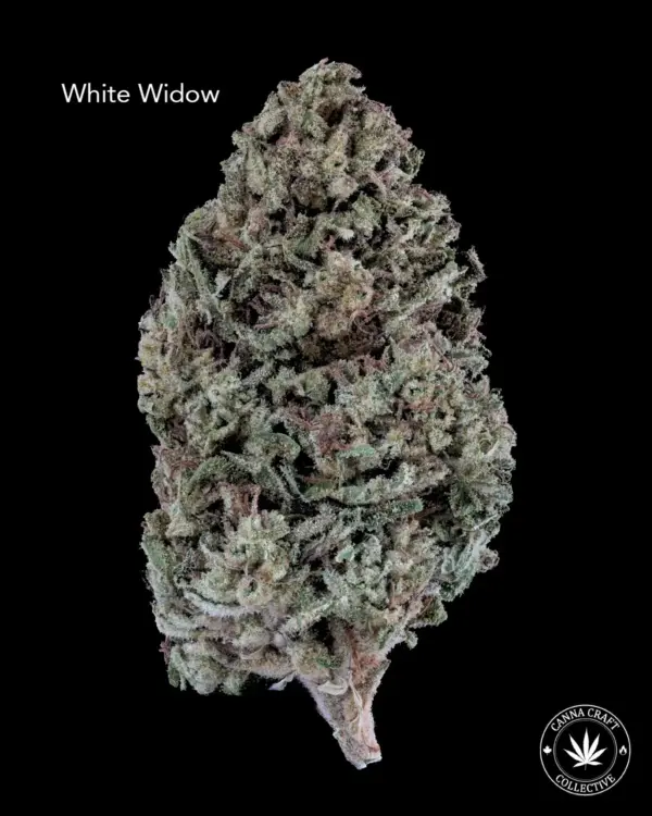 AA+ - WHITE WIDOW