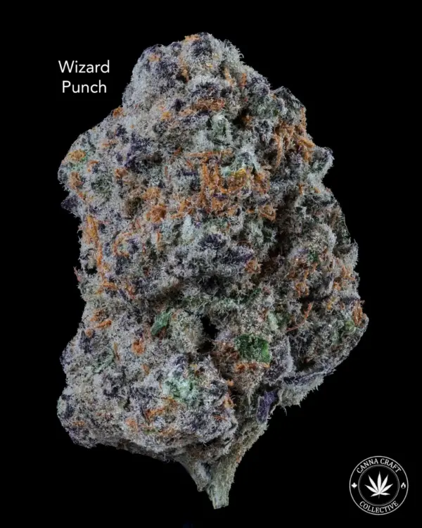 AAAA *ON SPECIAL* WIZARD PUNCH