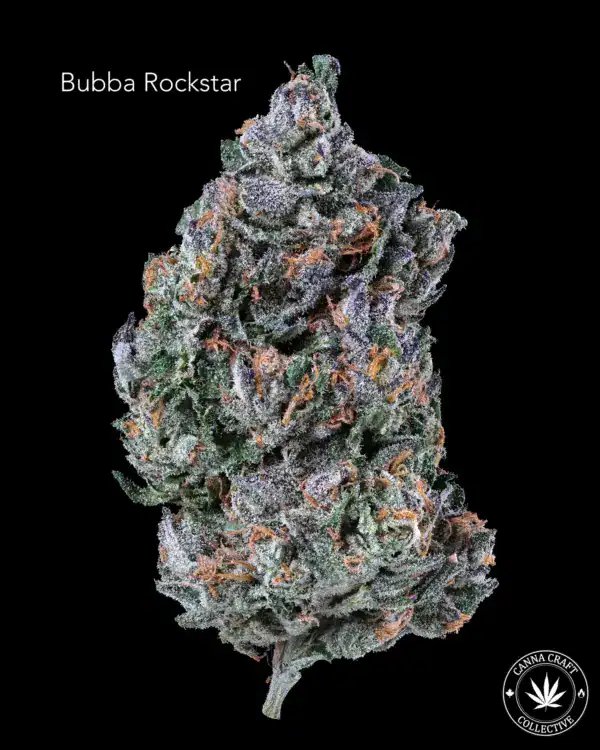 AAA++ - BUBBA ROCKSTAR