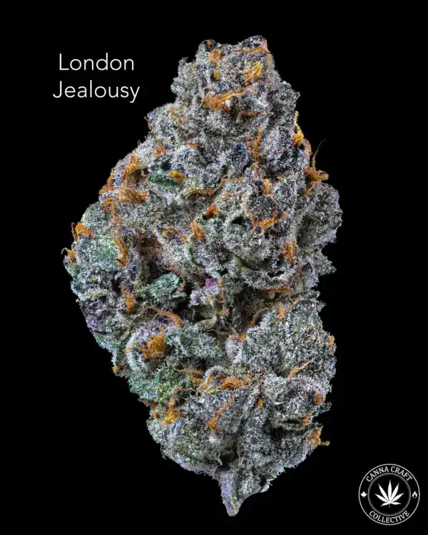AAA++ - LONDON JEALOUSY