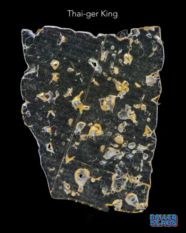 BALLER SLAB SHATTER - THAI-GER KING (5 gram)