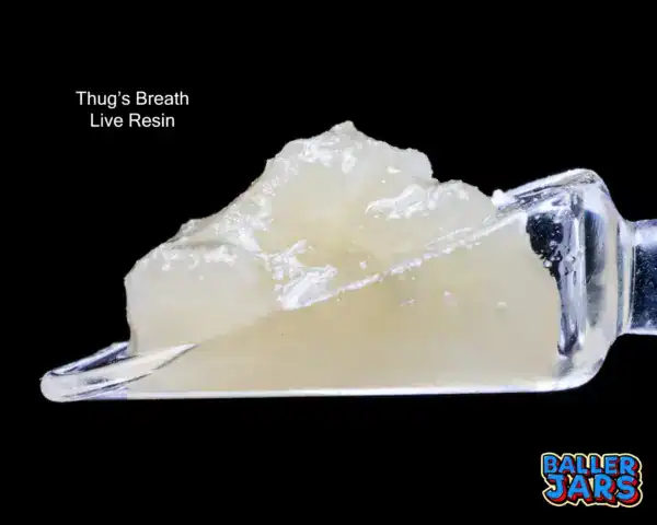 BALLER JAR LIVE RESIN - THUGS BREATH (5 gram)