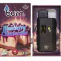 BURN DISPOSABLE VAPE – BLUEBERRY CHEESECAKE (3 GRAM)
