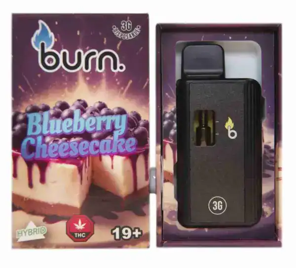 BURN DISPOSABLE VAPE – BLUEBERRY CHEESECAKE (3 GRAM)