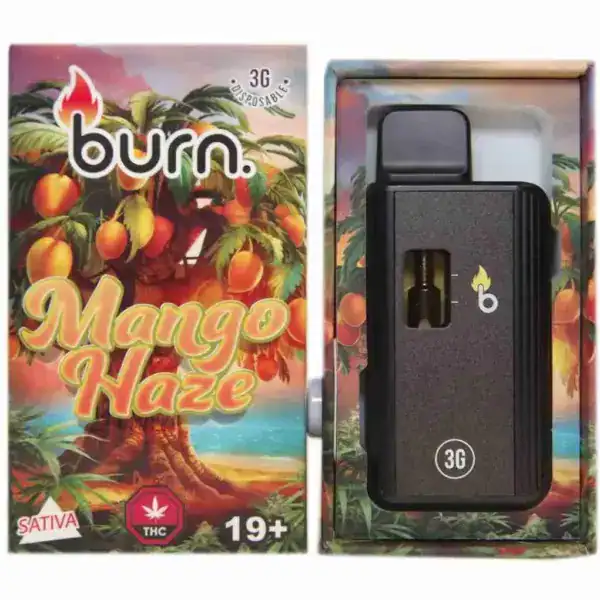 BURN DISPOSABLE VAPE – MANGO HAZE (3 GRAM)