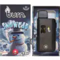 BURN DISPOSABLE VAPE – SNOW CAP (3 GRAM)