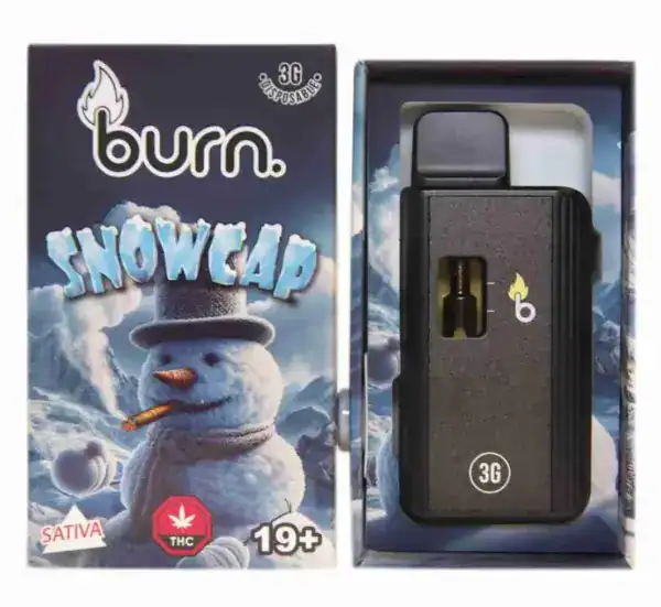 BURN DISPOSABLE VAPE – SNOW CAP (3 GRAM)