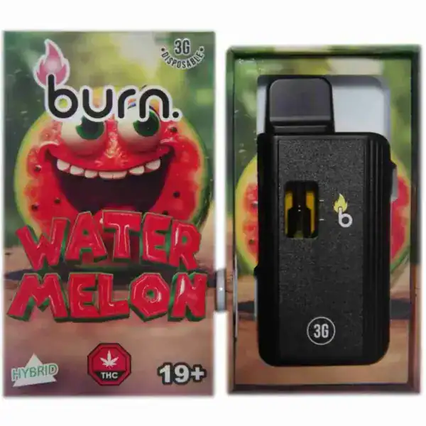 BURN DISPOSABLE VAPE – WATERMELON (3 GRAM)