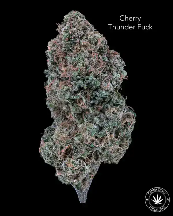 AAA+ - CHERRY THUNDER FUCK