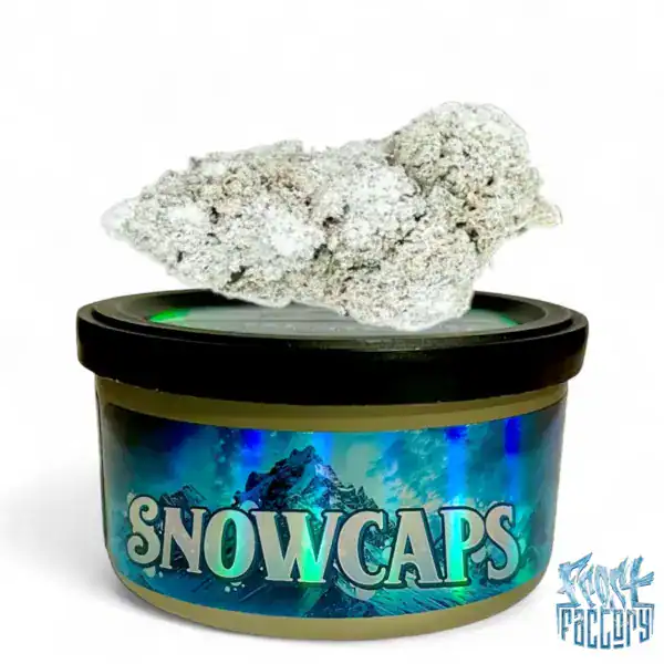 FROST SNOW CAP 2 CORRECT FROST FACTORY SNOW CAPS - CHERRYGASM