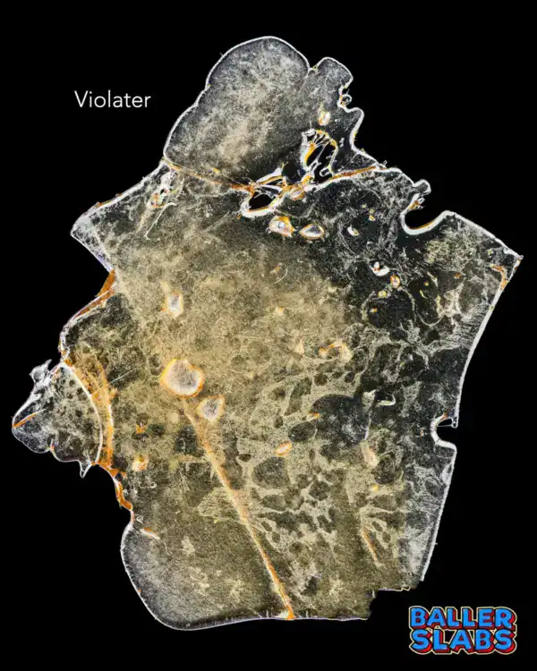 BALLER SLAB SHATTER - VIOLATOR KUSH (5 gram)
