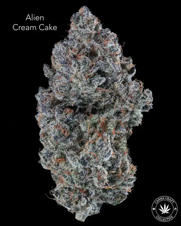 ALIEN CREAM CAKE