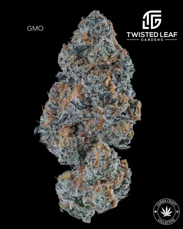 GMO