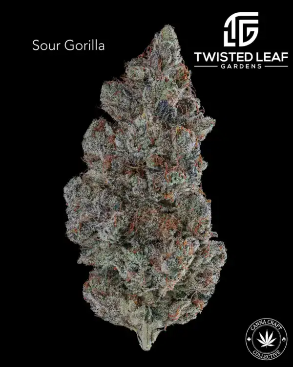 SOUR GORILLA