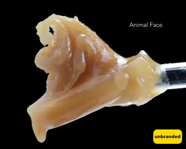animal face cc BULK JAR LIVE HASH ROSIN - ANIMAL FACE