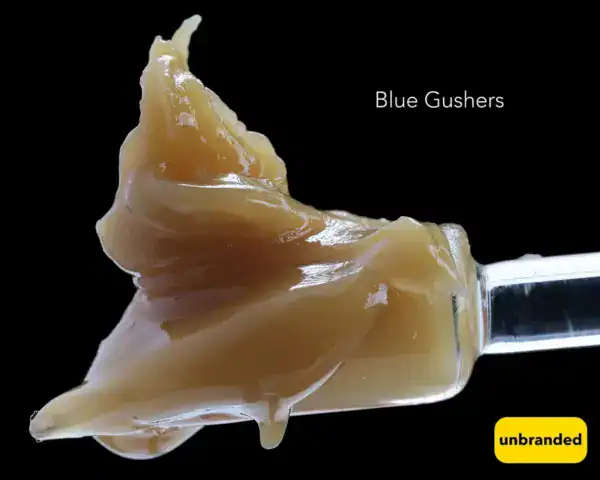blue gushers cc BULK JAR LIVE HASH ROSIN - BLUE GUSHERZ