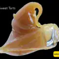 BULK JAR LIVE HASH ROSIN - SWEET TARTS