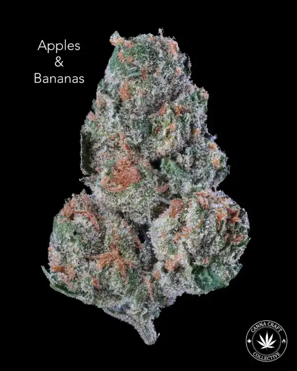 AAA+ - APPLES & BANANAS