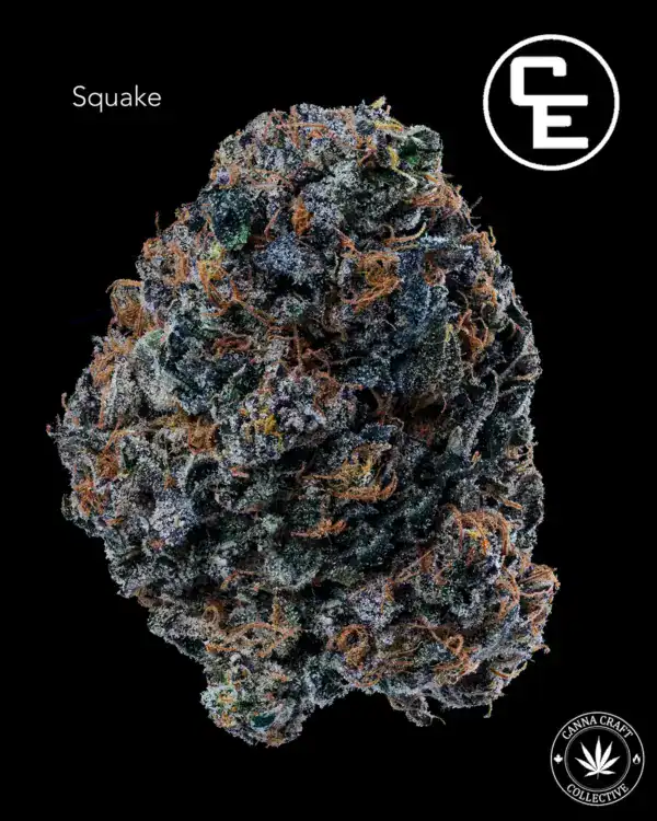 Squake SQUAKE BY CE