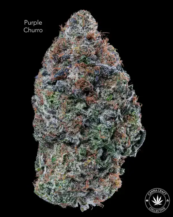 AAAA *ON SPECIAL* PURPLE CHURRO
