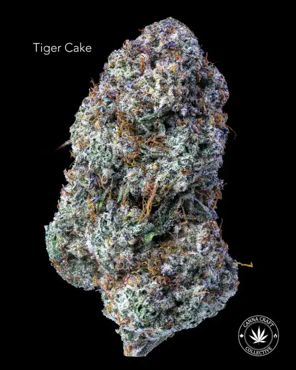 AAAA *ON SPECIAL* TIGER CAKE