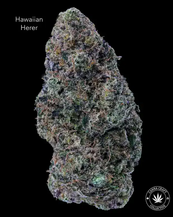HAWAIIAN HERER