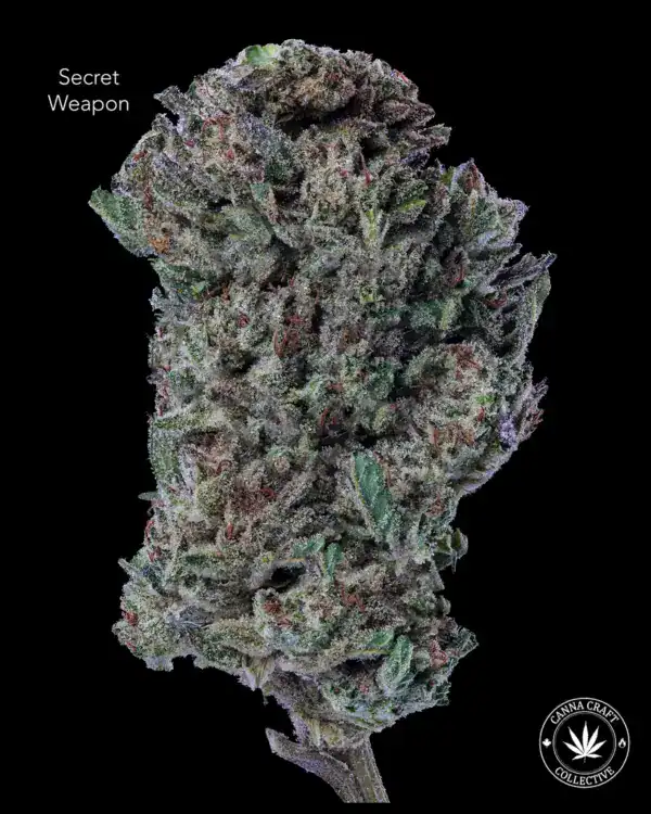 AA - SECRET WEAPON