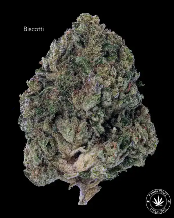 AA+ - BISCOTTI