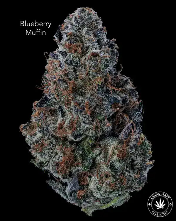 BLUEBERRY MUFFIN