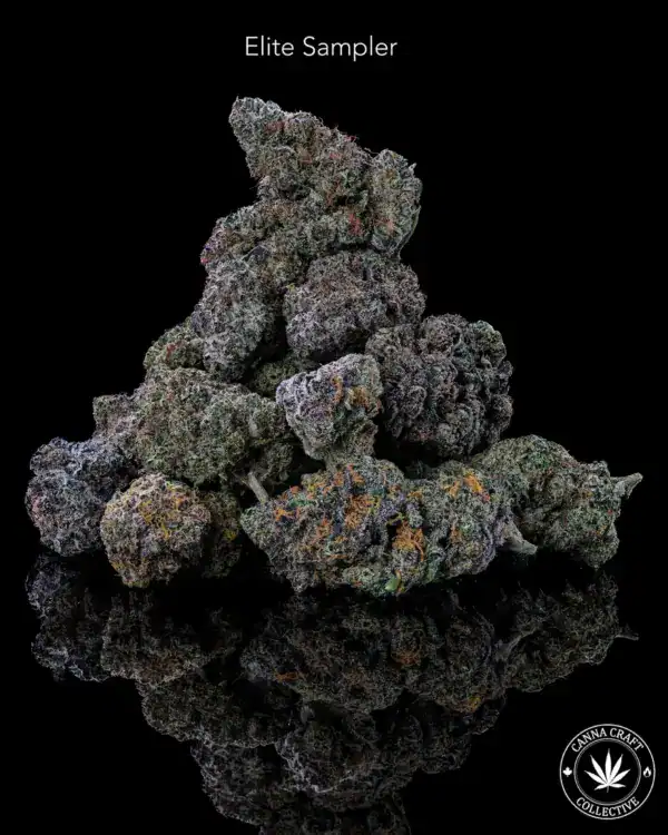 AAAA+ *ON SPECIAL* THE ELITE SAMPLER