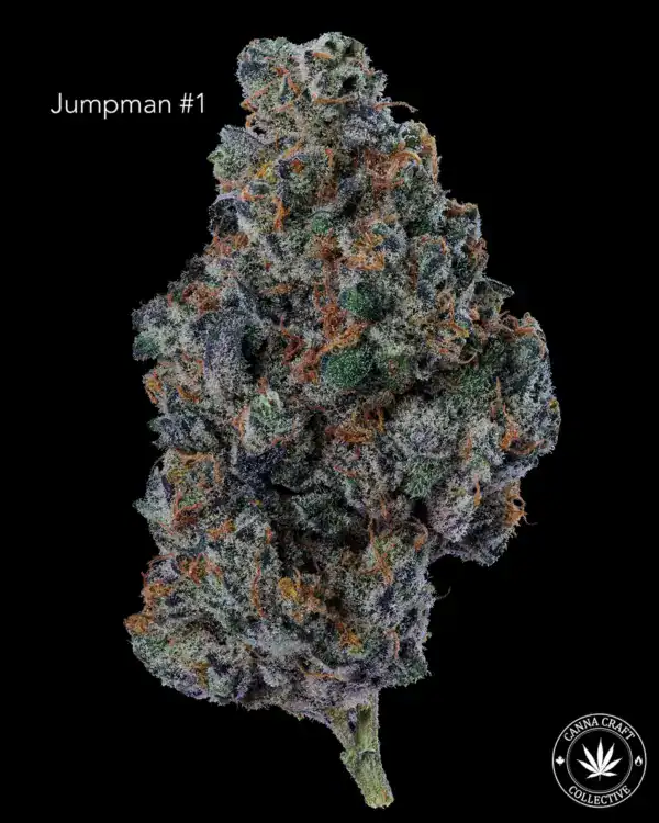 JUMPMAN #1