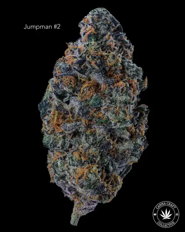 JUMPMAN #2