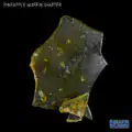 CannaCollective_Shatter_PineappleMuffin BALLER SLAB SHATTER - PINEAPPLE MUFFIN (5 gram)