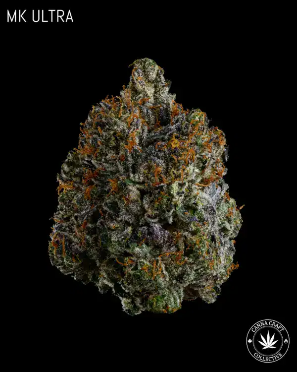 MK ULTRA