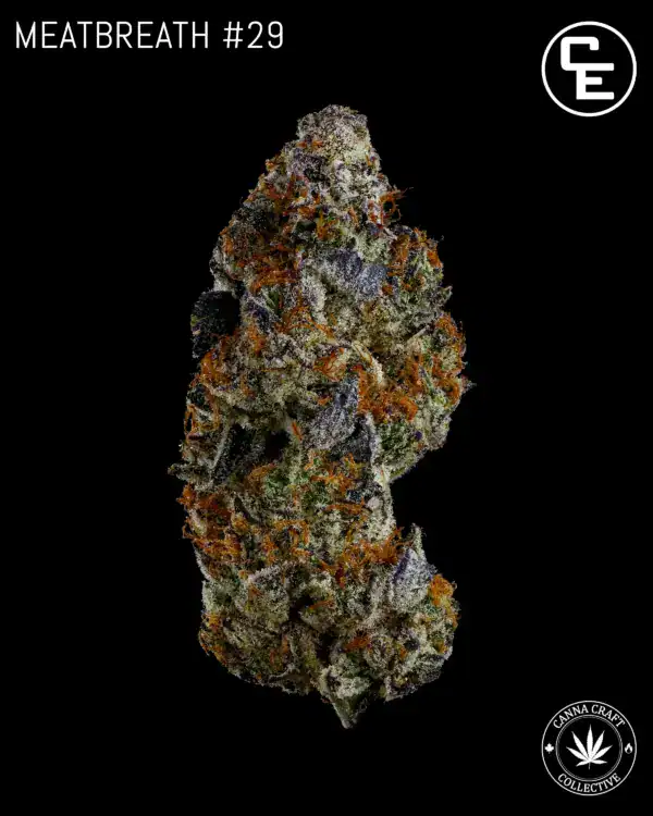 MEAT BREATH #29 BY CE