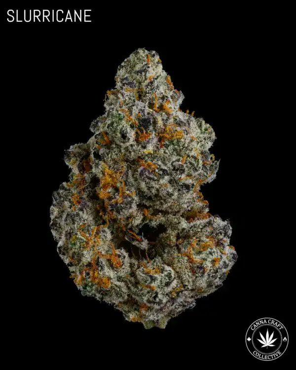 SLURRICANE