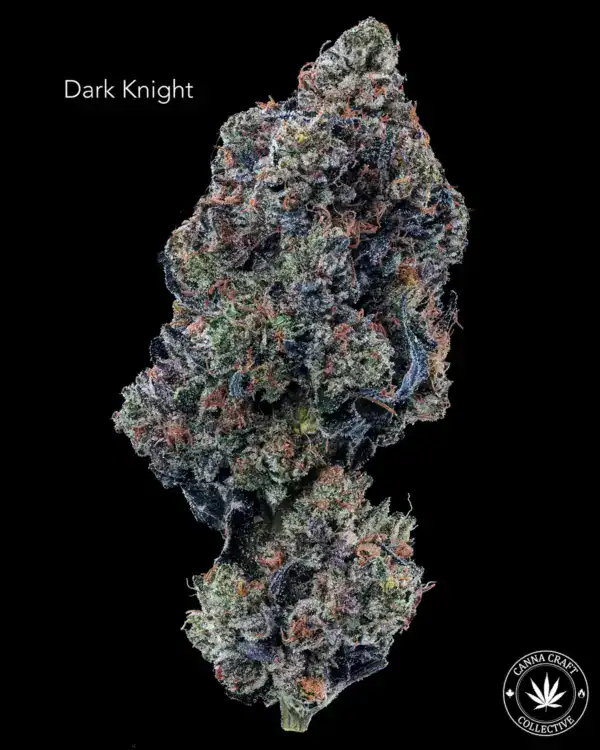 DARK KNIGHT