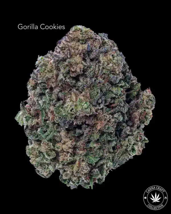 AA+ - GORILLA COOKIES