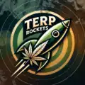 TERP ROCKETS INFUSED PRE-ROLL - DARK KNIGHT