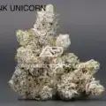 ASTROPINK - PINK UNICORN (LOT#9348)