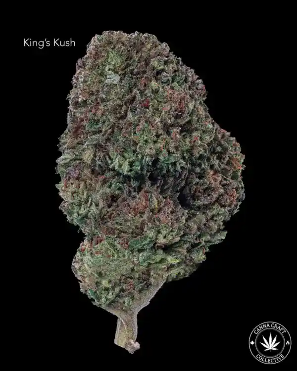 AA - KINGS KUSH