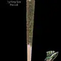 TERP ROCKETS INFUSED PRE-ROLL - DARK KNIGHT