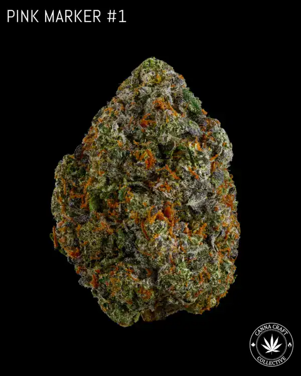 AAA++ - PINK MARKER #1